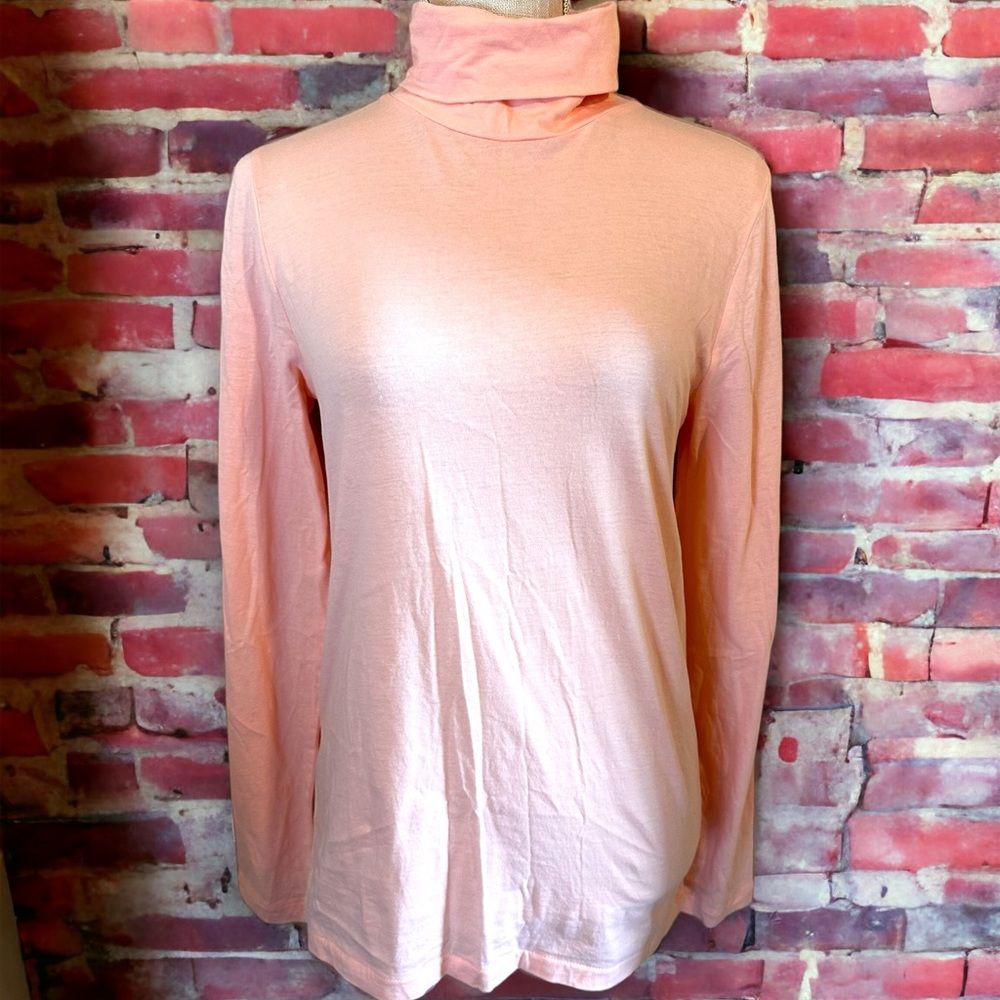 Jcrew sz small NWOT light‎ pink cotton turtleneck